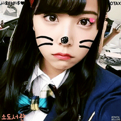 일본의 해녀인식 .jpg | 인스티즈