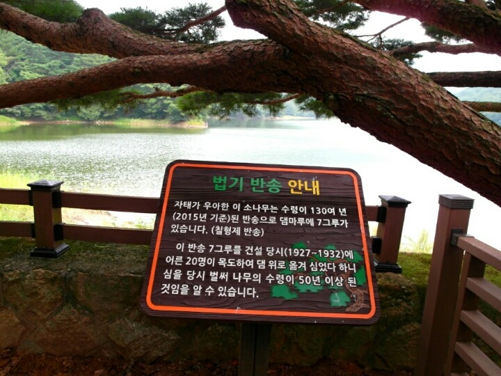 양산법기수원지 | 인스티즈