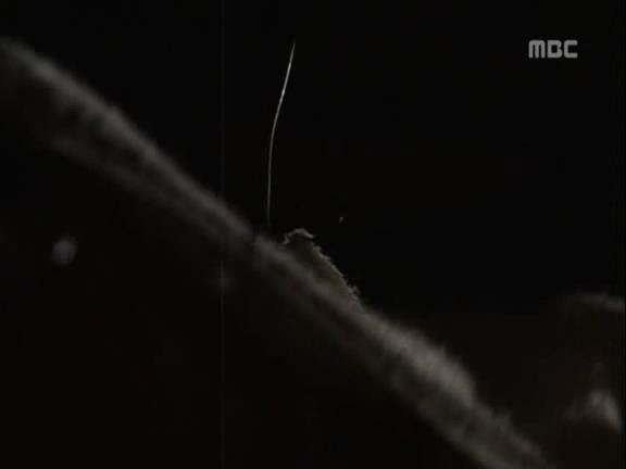 [거침없이하이킥] 유미 가족의 비밀 -5- | 인스티즈