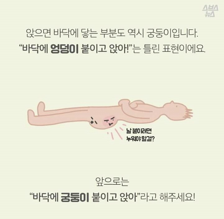 억울한 살덩이의 외침 (궁둥이와 엉덩이) | 인스티즈