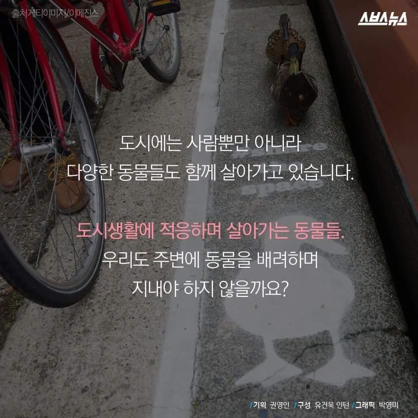 당신은 당신의 이웃을 사랑하십니까? | 인스티즈