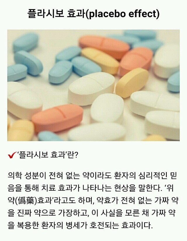 플라시보 이미지