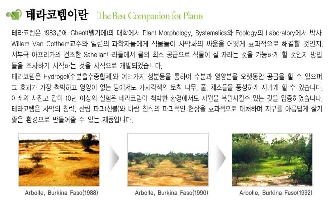 코템 이미지