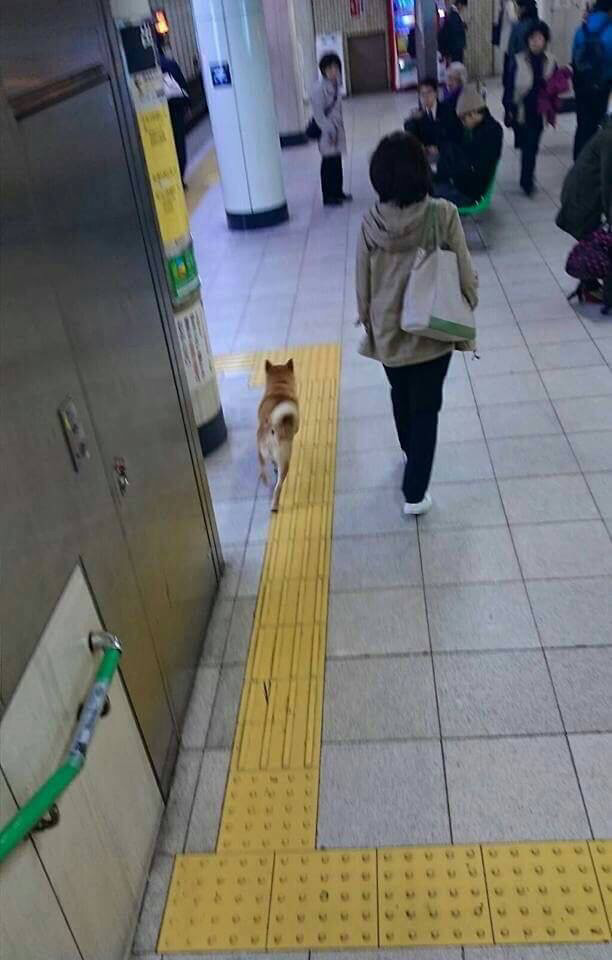 와 시바 무임승차ㄷㄷ | 인스티즈