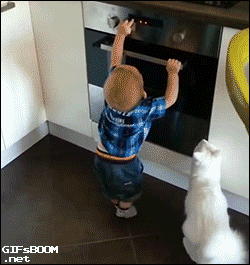 아기와 고양이.gif | 인스티즈