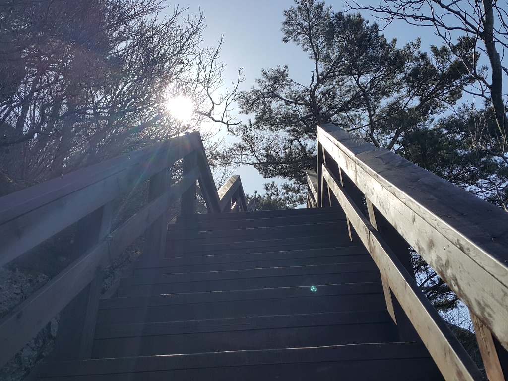 삼거리다방 이미지