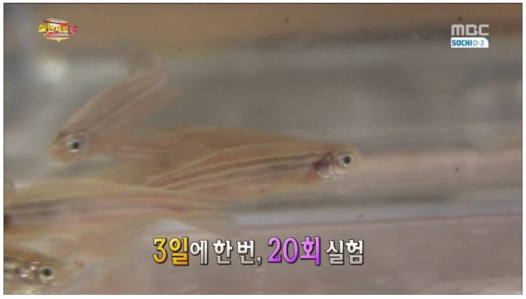  물티슈의 위험성... | 인스티즈