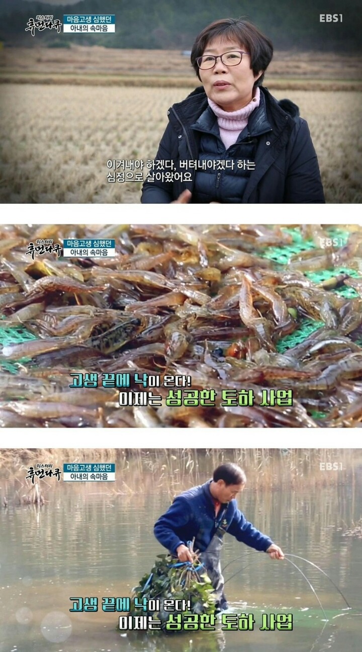 산속의 새우 사업.jpg | 인스티즈