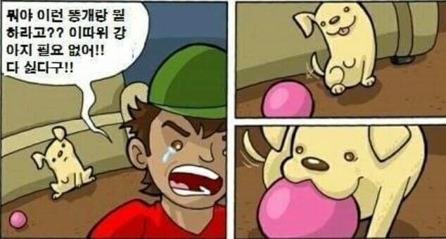 한 쪽 다리가 없는 강아지를 선물받은 소년 | 인스티즈