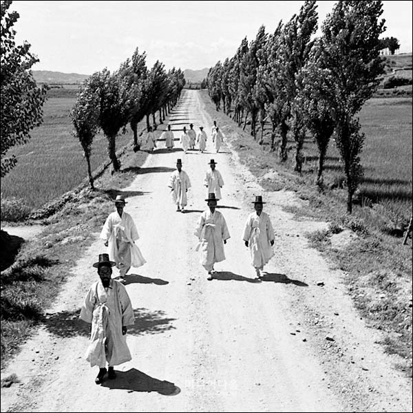 1950년대 수원의 모습.jpg | 인스티즈