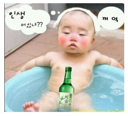 우짜꼬 이미지