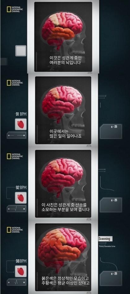 현자타임이 되어가는 뇌... | 인스티즈