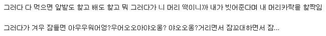 () 강아지랑 같이자면 생기는일 | 인스티즈