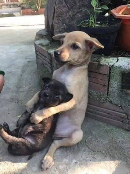 놀지 이미지