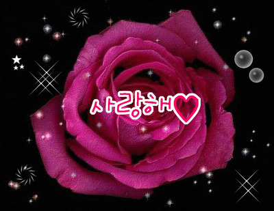 토요일 이미지