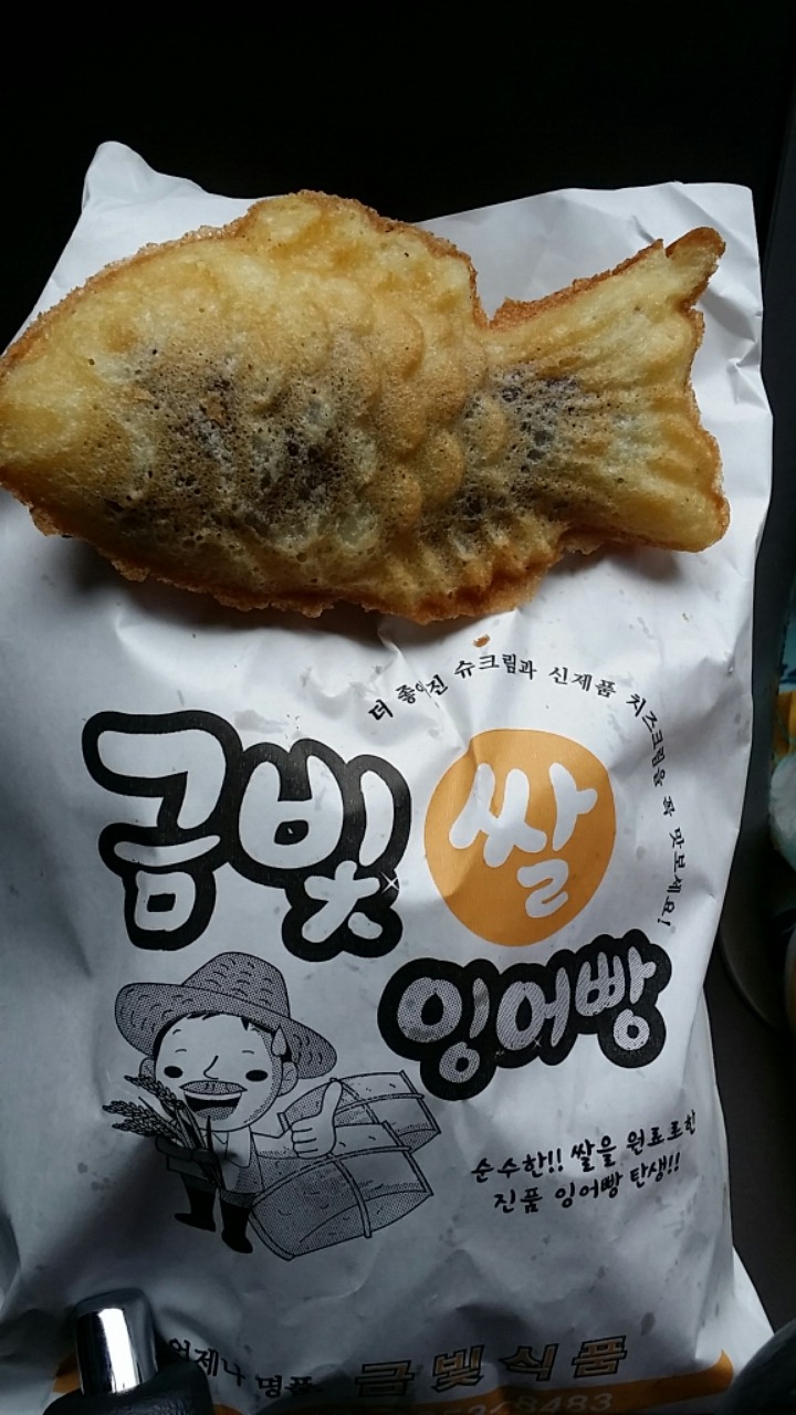 금빛잉어 이미지
