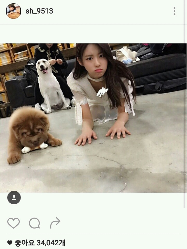설현 인스타 업뎃 | 인스티즈