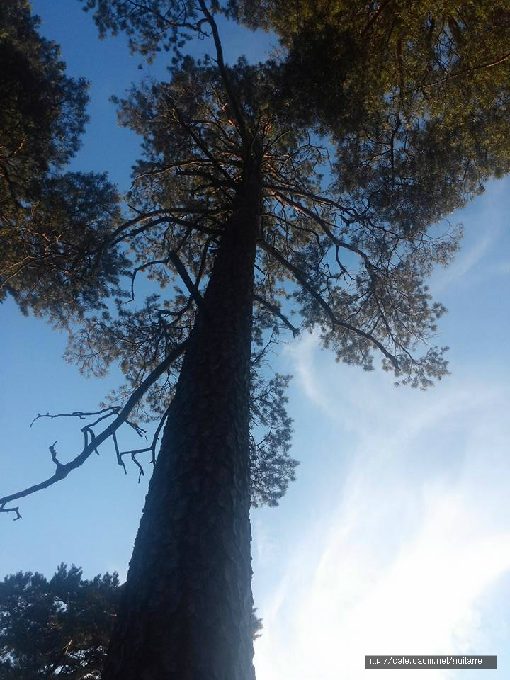 23353739578397AE3683C5