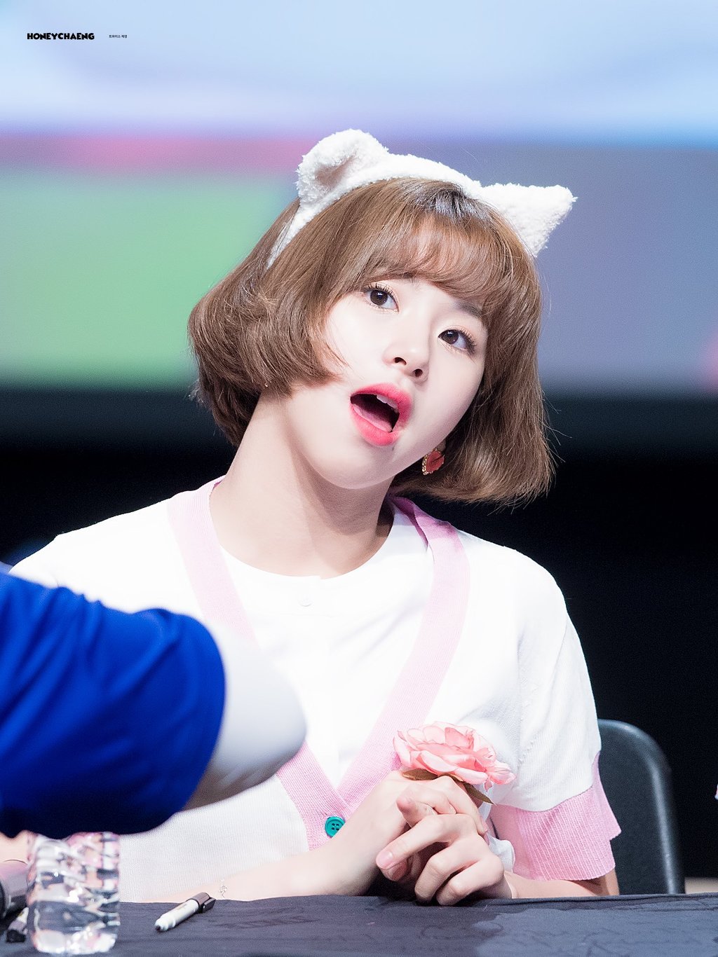 일본가서 머리붙이고 숙녀된 채영이 | 인스티즈