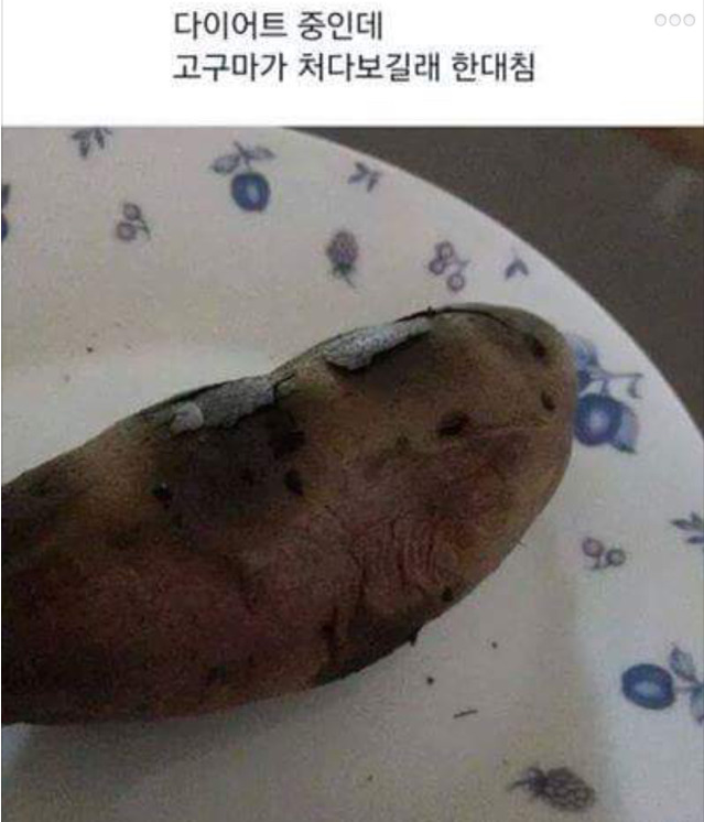 여자들 다이어트할때 건들면 안되는 이유 | 인스티즈