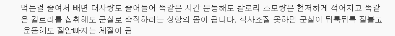 달리기 열심히 해도 살 안 빠지는 이유 | 인스티즈