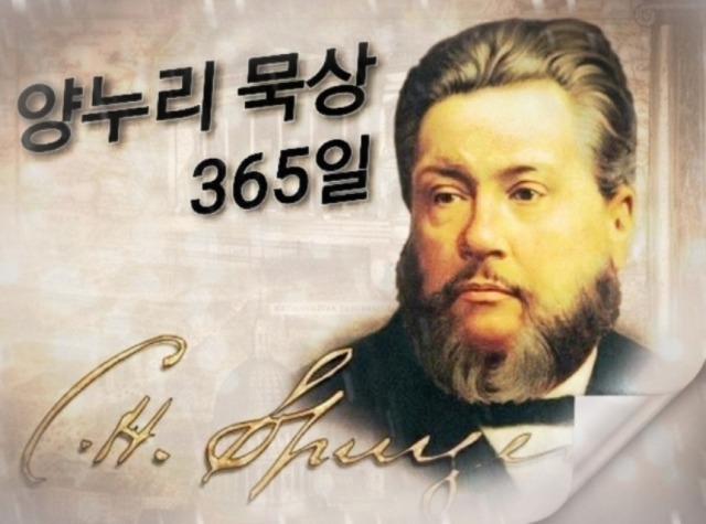 포도나무365 이미지