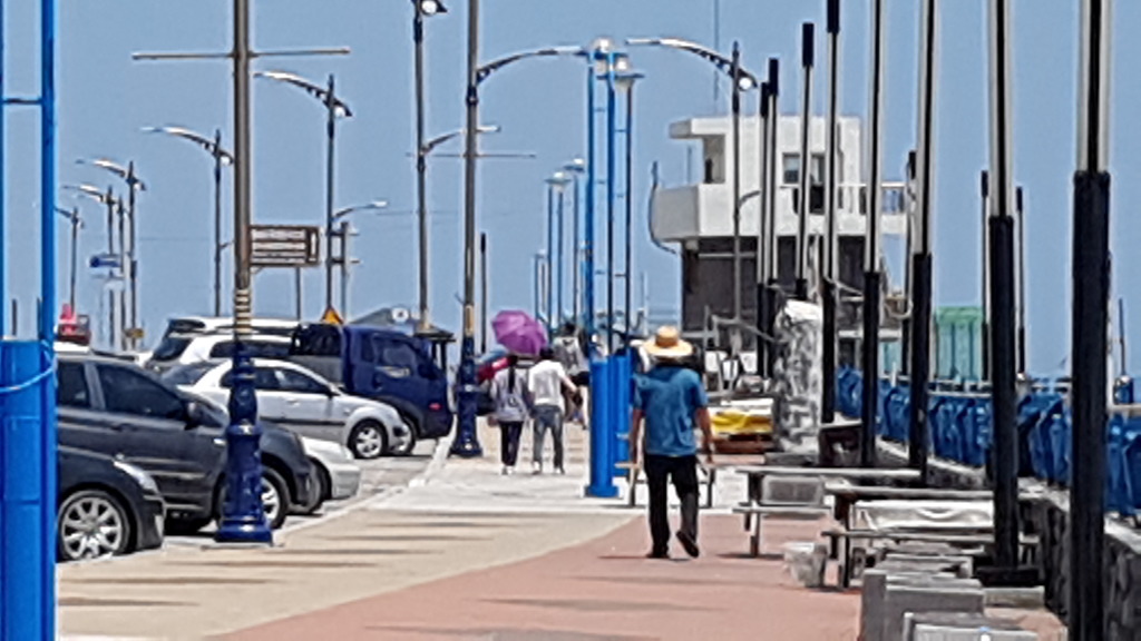 햇비 이미지