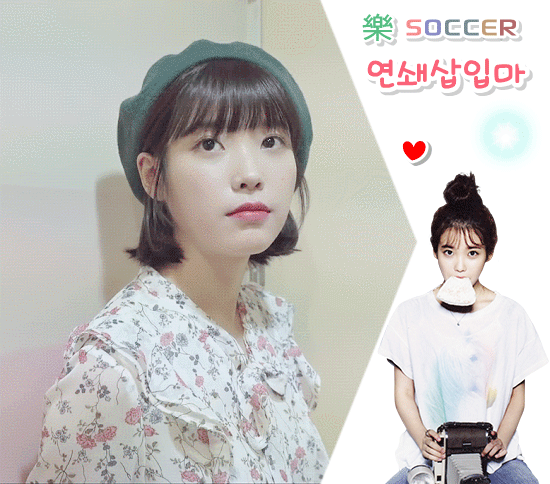 효리네 민박 1화 아이유.gif | 인스티즈