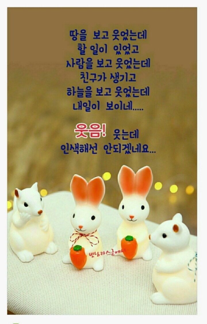 지니페이지 이미지