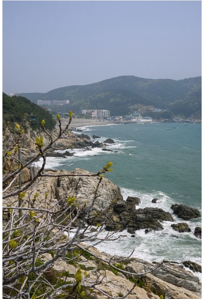 부산 여행가면 꼭 가봐야 할 곳 | 인스티즈