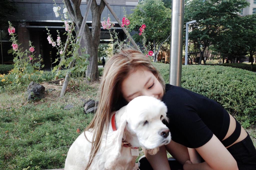 강아지 데리고 노는 블랙핑크 제니.jpg | 인스티즈