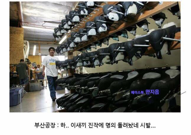 스베누 부도 사건 총정리 | 인스티즈