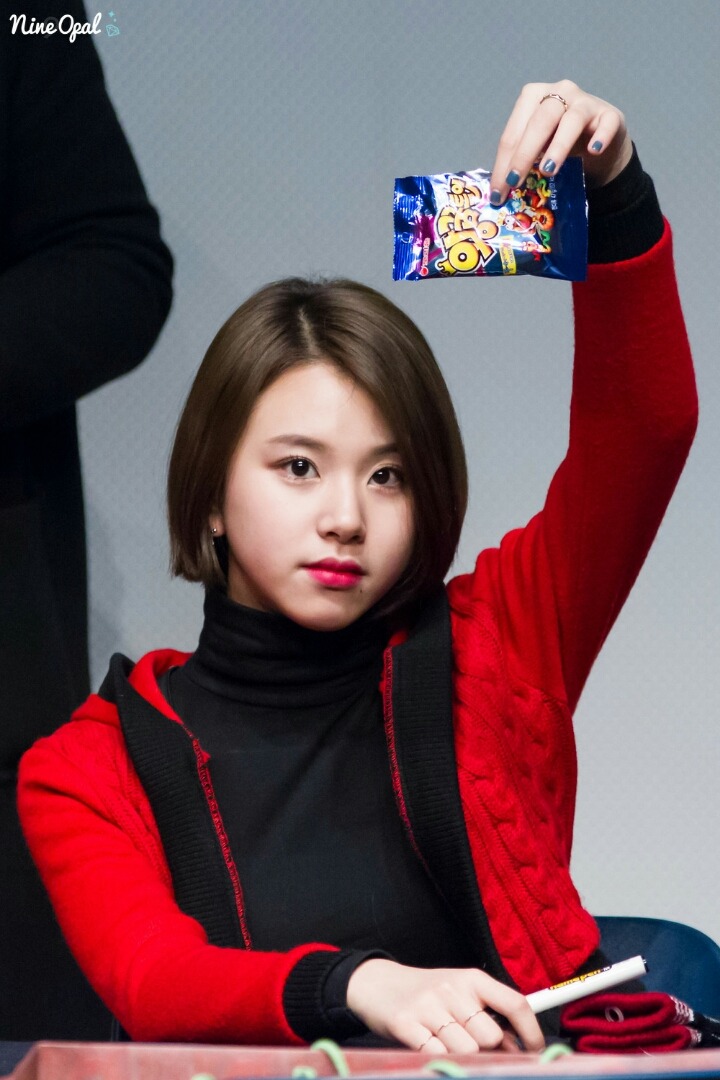 트와이스 식스틴시절과 현재 이미지 다른 맴버 | 인스티즈