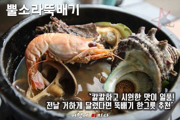 제주도 먹방 여행 | 인스티즈