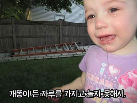 아이들이 우는 이유 | 인스티즈