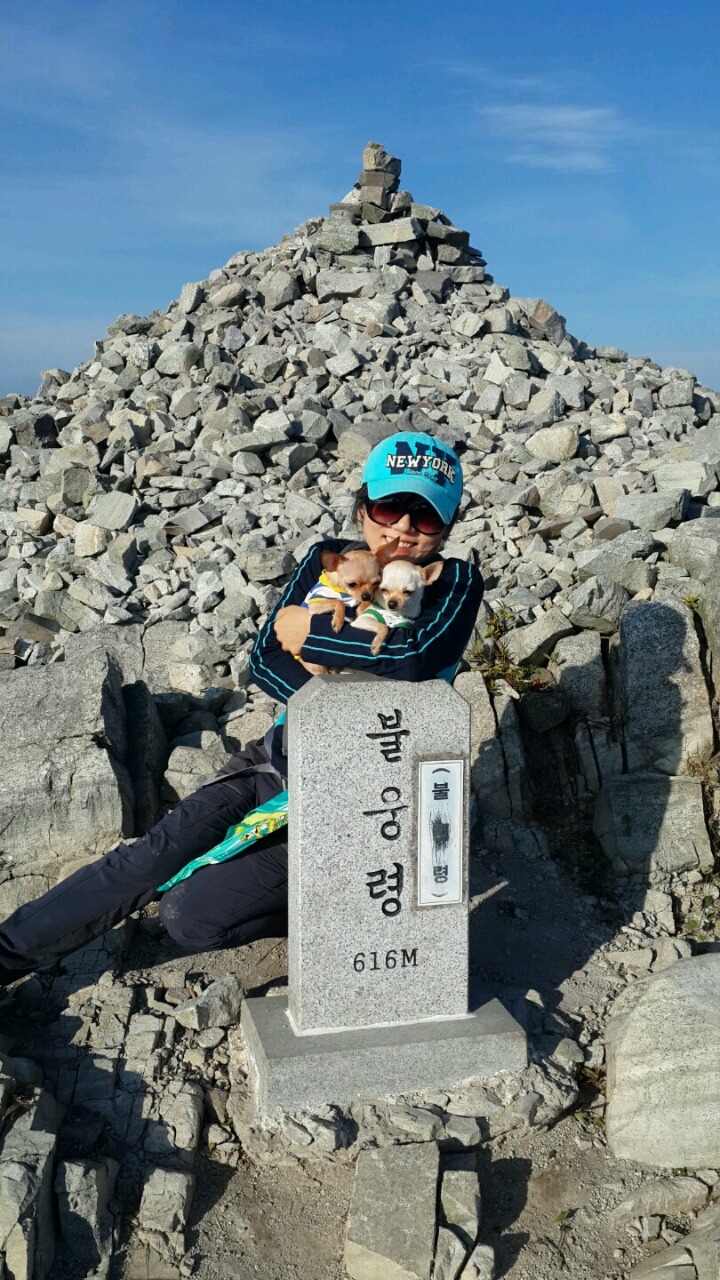 유*삼 이미지
