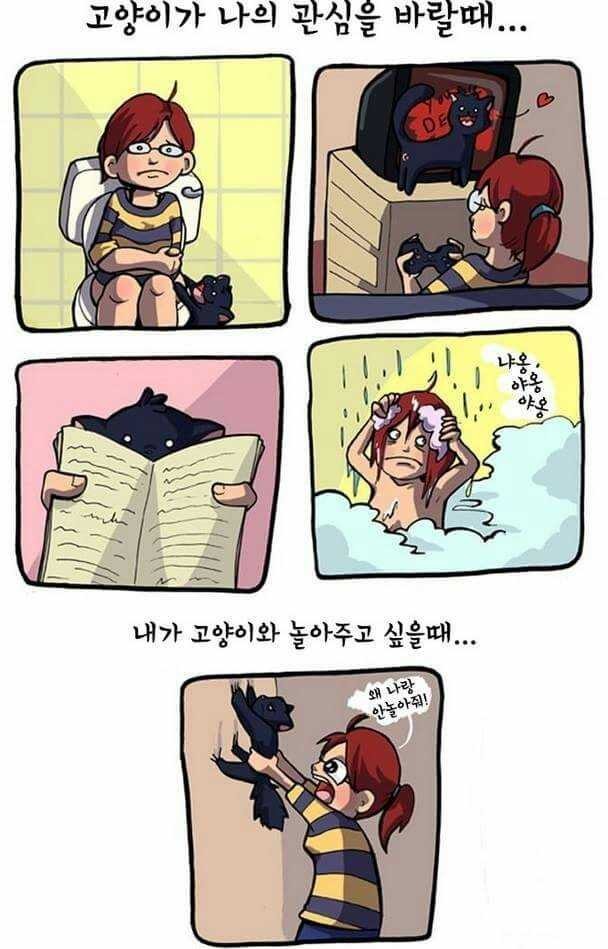 고양이 키우는 집사들은 공감한다는 일러스트들 | 인스티즈