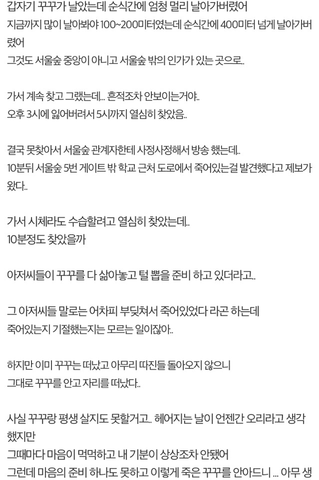 수렵시대 대한민국 | 인스티즈
