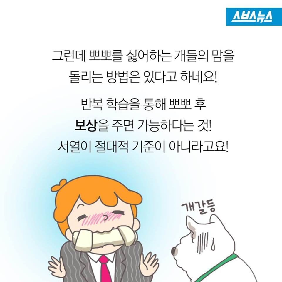 개들이 뽀뽀를 피하는 이유.jpg | 인스티즈