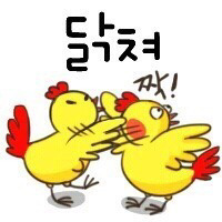 쇼노트 이미지