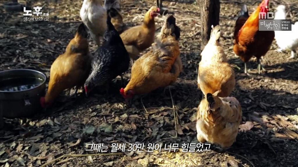 [MBC스페셜] 평생 자식들 뒷바라지 하느라 자신의 노후는 준비하지 못한 여성의 사연.jpg | 인스티즈