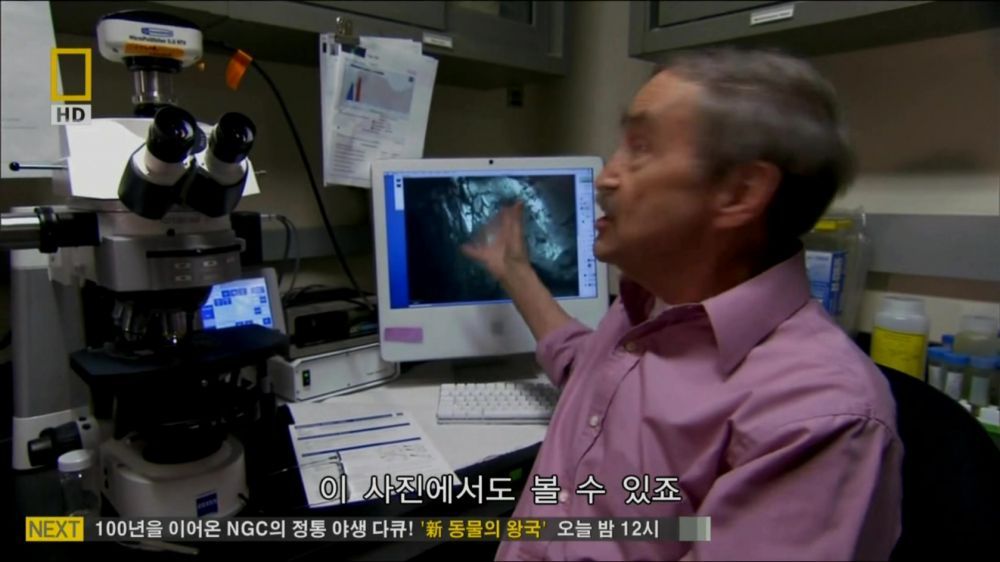 과학자들의 외계 생명체를 찾기위한 노력들.jpg | 인스티즈