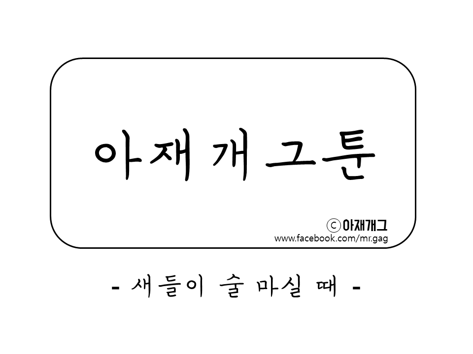 새들이 술마실때 ㅋㅋㅋㅋㅋ | 인스티즈