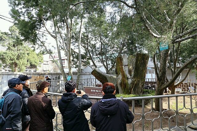 사단법인 전통문화보존회 이미지