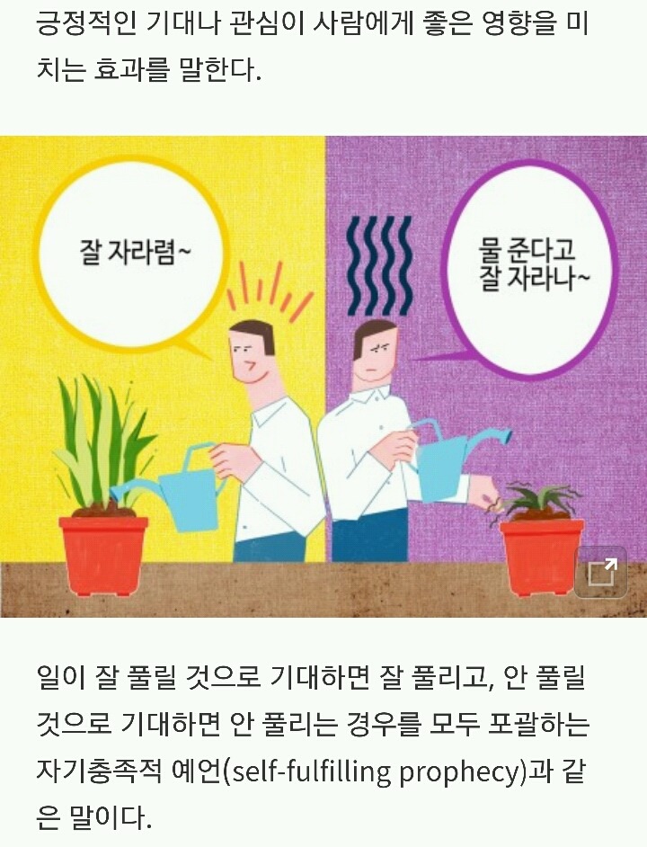 의심이 인간관계를 망치는 이유 (간단 심리학 용어) | 인스티즈
