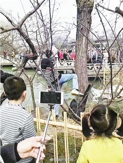중국 남성에게 짓밟힌 알 보며 목놓아 우는 흑조 | 인스티즈