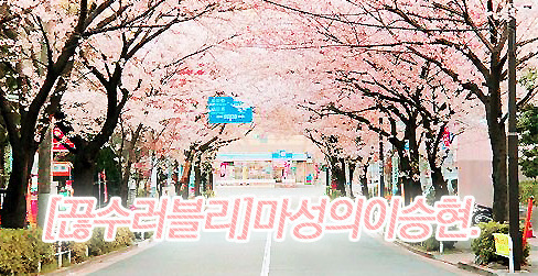 다백 이미지