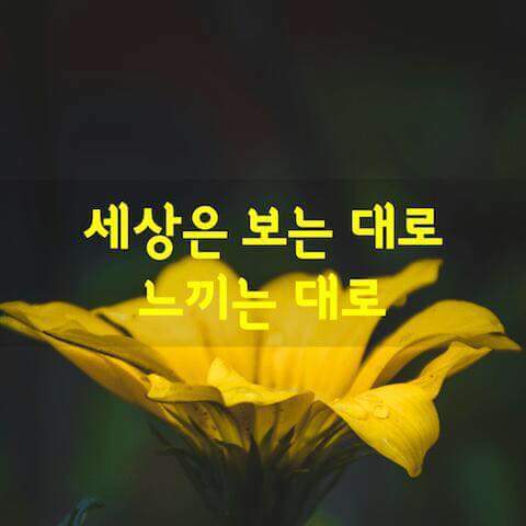 행운열쇠 이미지