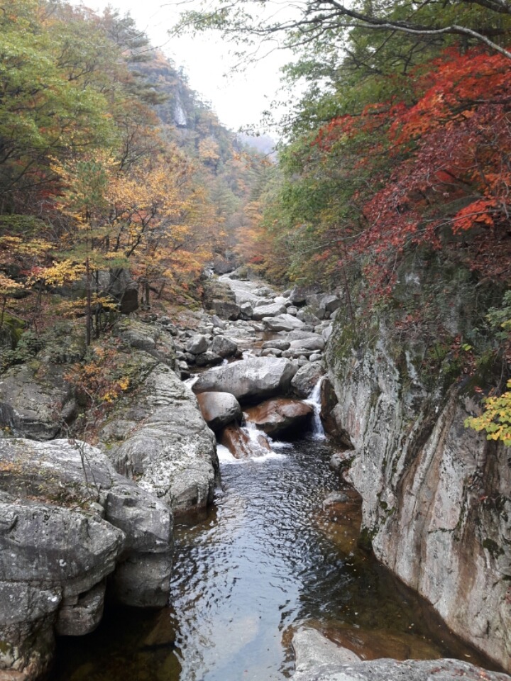 명승1 이미지