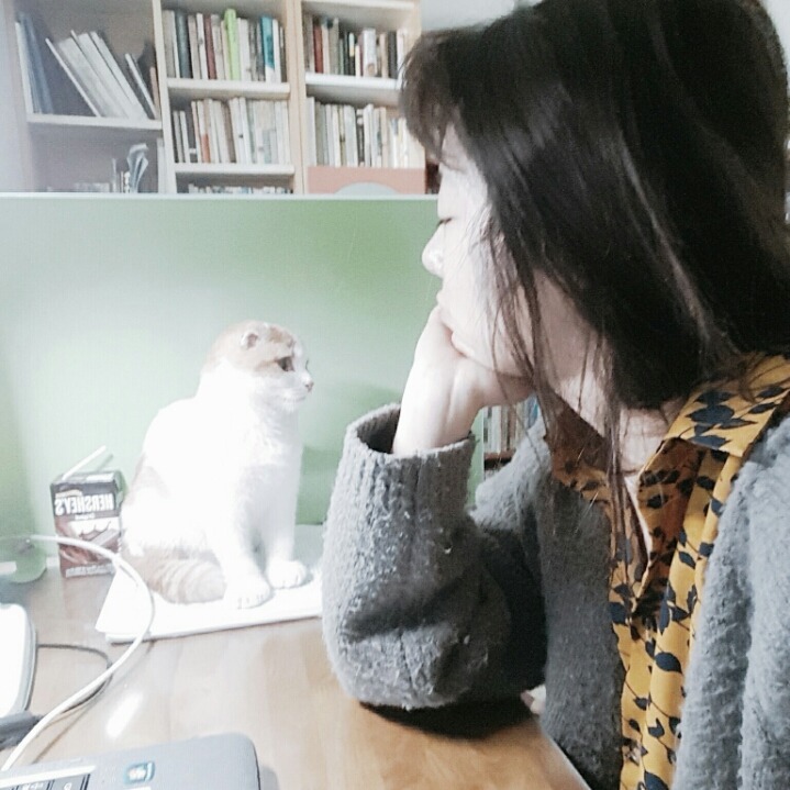 꼬모 이미지